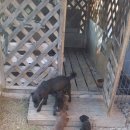 뽀미농장 이미지