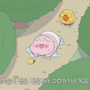 아임파인 이미지