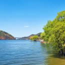 백야자연휴양림 이미지