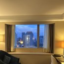 하이랜드호텔 | 상하이 래디슨 컬렉션 하이랜드 호텔 숙박 후기 내돈내산