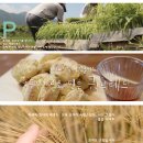 스튜디오느린손 이미지