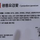 달성습지 생태 학습관 이미지