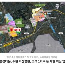 새금호약국 이미지