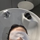 [뷰티] 장유 율하 레이어드펌 맛집 데이움헤어 후기