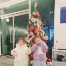 모데라트 이미지