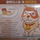 파트라슈 네이버블로그