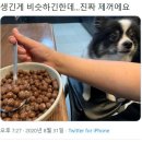 마! 주인 이미지