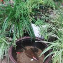 신지약국 이미지