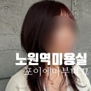 (주)포이에마 | 노원미용실 포이에마부띠끄 레드브라운 전체염색 받고온후기