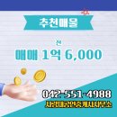 엄사면사무소 이미지