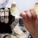 ★ ★Brain control-Monkey (붉은 털 원숭이의 뇌에 마이크로와이어를 삽입, 별도의 장소에 있는 50kg짜리 로봇 팔을 움직이게 이미지