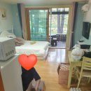 평창어울림펜션 | [평창 어울림 펜션] 찐후기 계곡과 수영장이 있는 평창의 명물 펜션