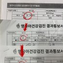헬시코코