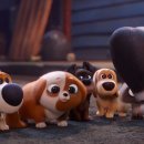 The secret life of pets 2 이미지