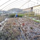 모닥불가든 이미지