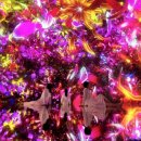 팀스카이 | 도쿄 가볼만한곳 스카이트리 팀랩 플래닛 콤보 티켓 | 3만원대 핫딜 특가로 두 곳을 한번에