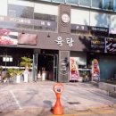 육탐