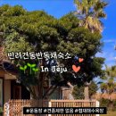 똘내미집 이미지