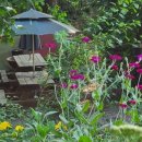 메밀촌 봉평막국수 이미지