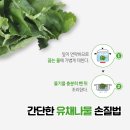유채유통
