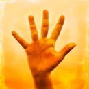 다섯손가락 이미지