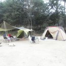 숲속의 농장 이미지