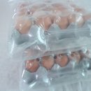 우촌농장 이미지