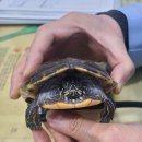 뉴월드동물병원 이미지