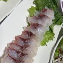 마산활어회마트