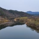 죽곡 태안교 네이버블로그
