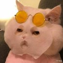 로이뷰티 이미지