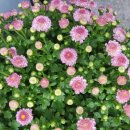 오피스디포 사천점 이미지