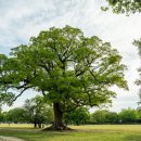 이너피스 이미지