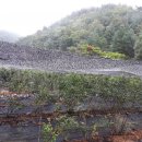 경담농장 이미지