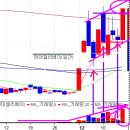 12월14일 모니터링 주식 이미지