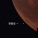 수우 이미지
