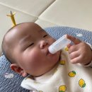 치악산약국 이미지