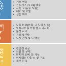 블루칩투자연구소