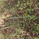 금당목장 이미지