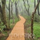 붉은오름자연휴양림2 이미지