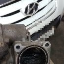 해모루자동차 이미지