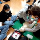 화정초등학교 이미지