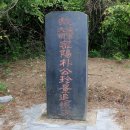 대령도