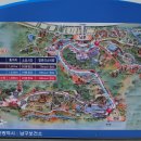 대공원시장 이미지