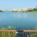 정숙옹주태실비 이미지