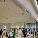 [쇼핑] 산드로&amp;마쥬 세일 구매 후기: 롯데 프리미엄 아울렛 의왕점