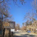 자연숲민박 | 용인 수도권에서 가깝고 전망 좋은 자연숲캠핑장 이용 후기