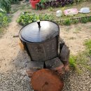 양갈비 바베큐립,숄더랙스테이크 소고기보다 맛난 검은머리양 후기