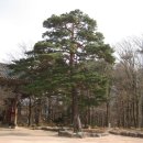 비선대만남의광장 이미지