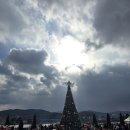 임실역 | [2025 임실 산타축제] 작년보다 역대급! 주차장 전쟁 피하는 꿀팁